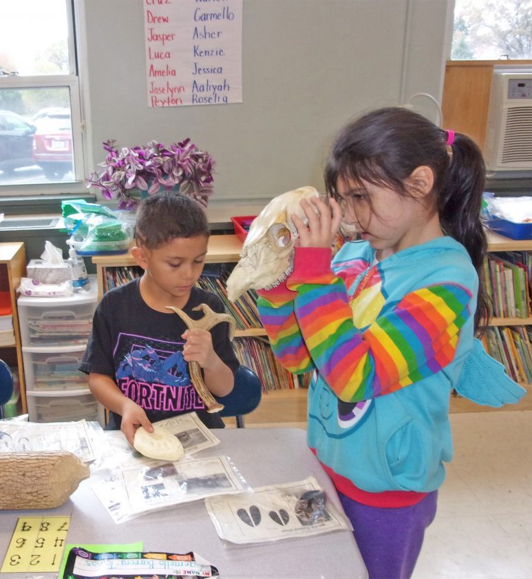 Lessons in habitats News, Sports, Jobs Salem News